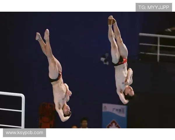 谢思埸凭实力闪耀赛场展现中国跳水队不屈精神与卓越风采 谢思埸凭实力闪耀赛场展现中国跳水队不屈精神与卓越风采