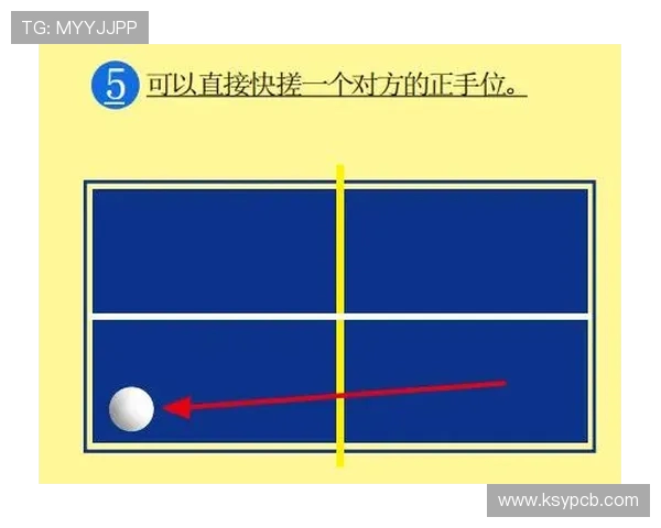 深入分析杭州乒乓球队独特的节奏打法与战术策略
