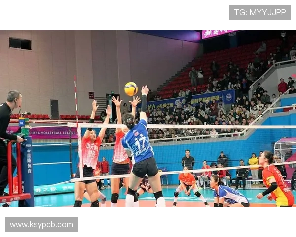 聚焦排球：深圳排球队的战术话题